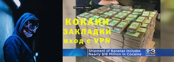 шишки Абинск