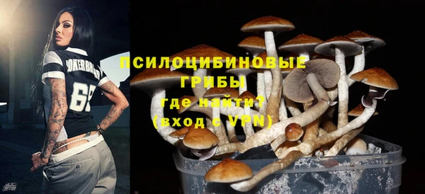 шишки Абинск