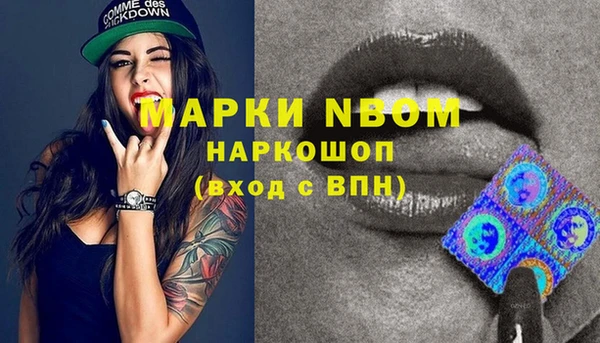 шишки Абинск