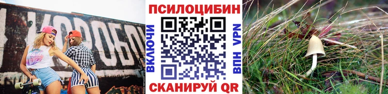 мега ссылки  Весьегонск  Галлюциногенные грибы мицелий  наркота 